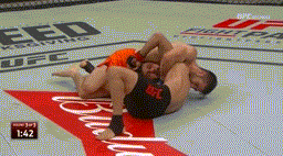 Matheus-Nicolau.gif