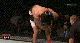 nakamura.gif