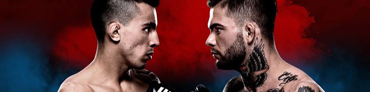 Featured image for 'UFC Fight Night: Almeida vs Garbrandt'
