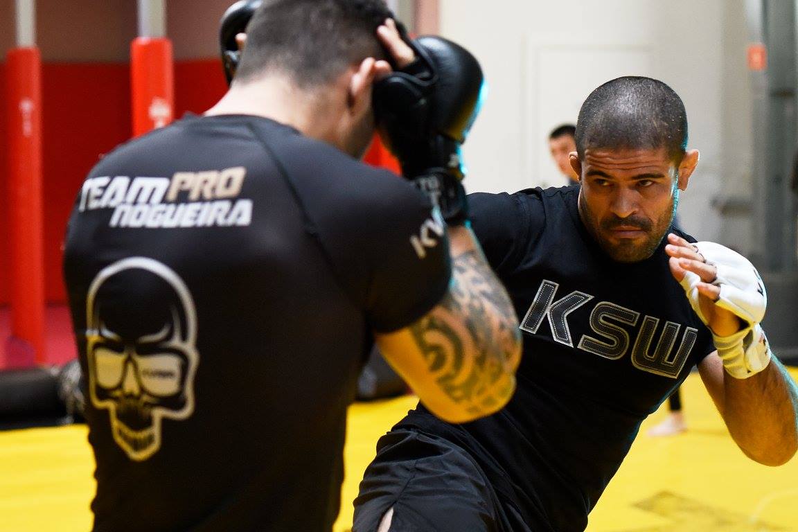 palhares