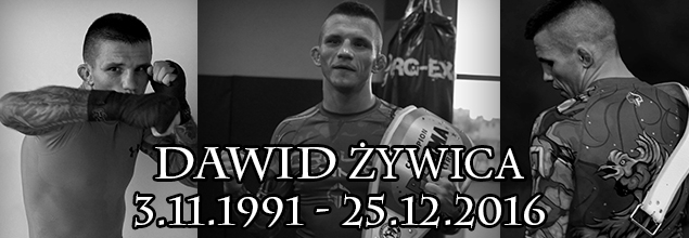 dawidzywica