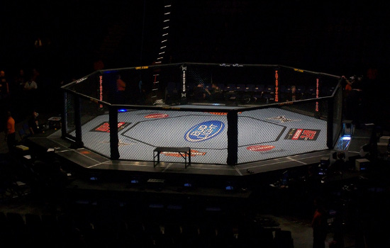 Maciej Motylewski sędzią punktowym gali UFC Berlin