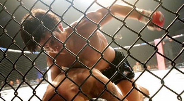 Henry Cejudo negocjuje kontrakt z UFC