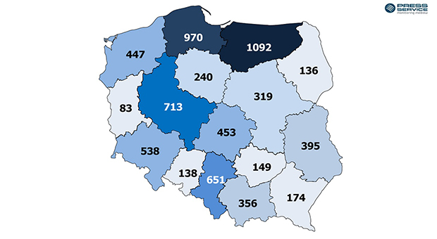 Gdzie w Polsce MMA jest najbardziej popularne? – przegląd informacji