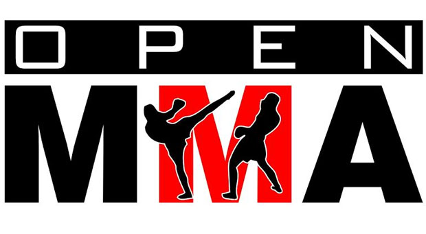 Nowy projekt – OPEN MMA