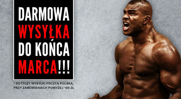 Darmowa wysyłka w MMAniak.pl do końca marca