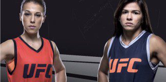 Zapowiedź nowego sezonu UFC: Unstoppable
