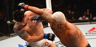 Zobacz, jak Mark Hunt nokautuje Franka Mira (WIDEO)