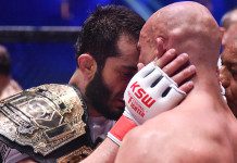 KSW w liczbach – podsumowanie 2016 roku