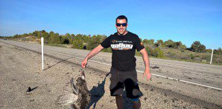 Blog Tomasza Drwala z JacksonWink MMA – wpis 2