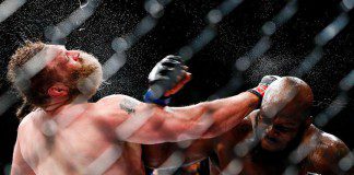 Roy Nelson zawalczy z byłym mistrzem Bellatora Alexandrem Volkovem na UFC on FOX 24