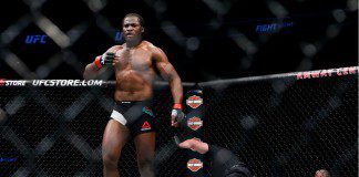 Francis Ngannou vs. Stefan Struve w planach na UFC w Sztokholmie