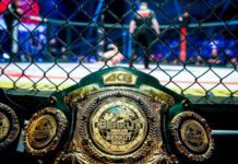 Ile zarabiają zawodnicy MMA w Rosji?