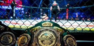 Ile zarabiają zawodnicy MMA w Rosji?