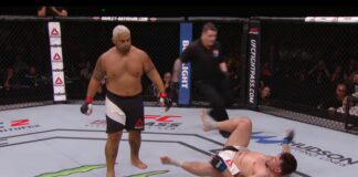 Zobacz jak Mark Hunt demoluje Franka Mira (wideo)