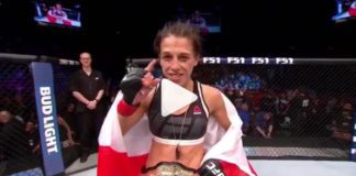Wspaniały rok UFC – krótkie wideo podsumowanie