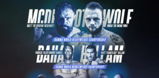 Wyniki gali BAMMA 29: Polacy zwyciężają na gali w Birmingham (wideo)
