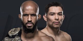 Demetrious Johnson vs Ray Borg przeniesione na UFC 216