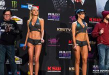 KSW w liczbach. Podsumowanie działań organizacji w 2017 roku