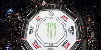 UFC prezentuje logo na 25-lecie organizacji