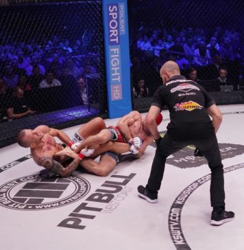 WIDEO: Najlepsze poddania w KSW w 2017 roku