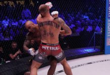KSW Free Fight: Michał Andryszak błyskawicznie nokautuje byłego mistrza na gali w Katowicach
