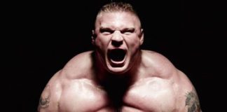 On tu nie pasuj – Stefan Struve uważa, że Brock Lesnar nie powinien walczyć w UFC
