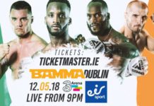 Polacy wracają z tarczą z Dublina – pełne wyniki gali BAMMA 35