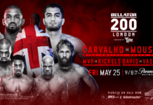 Bellator 200: Carvalho vs Mousasi – wyniki z gali