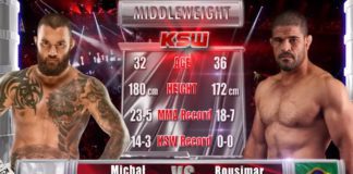 KSW Free Fight: Materla gasi światło Palharesowi
