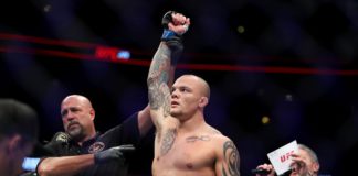 Wpływy z bramki oraz frekwencja po gali UFC Fight Night 134 w Hamburgu