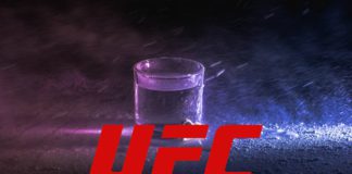 Ogłoszono markę oficjalnej wódki organizacji UFC