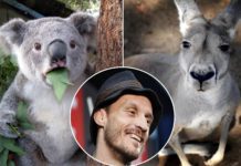 Gdyby to się sprzedało, zestawiliby koalę z kangurem – Brad Pickett o UFC
