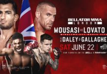 Bellator 223 – pełne wyniki gali z udziałem Mousasiego i Daleya