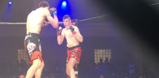 Contender Fight Night 2 w Kamiennej Górze – wyniki gali
