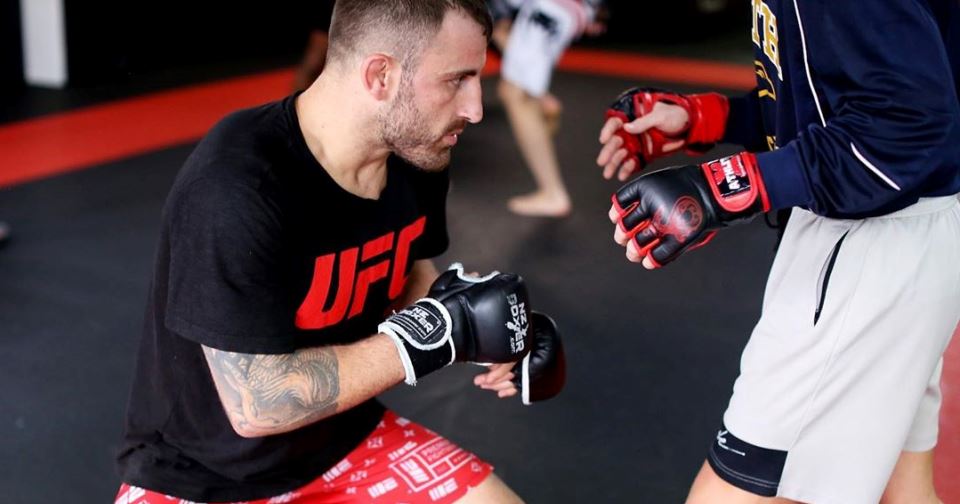 Alexander Volkanovski Holloway walka o pas