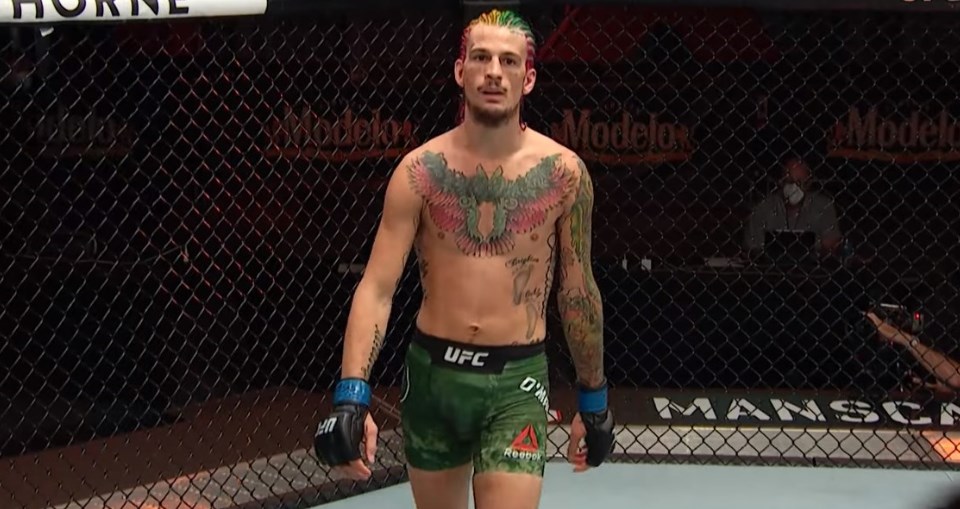 sean o'malley ufc