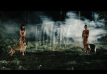 WOTORE 3 – Jak, kiedy i gdzie oglądać? Transmisja w PPV i karta walk gali