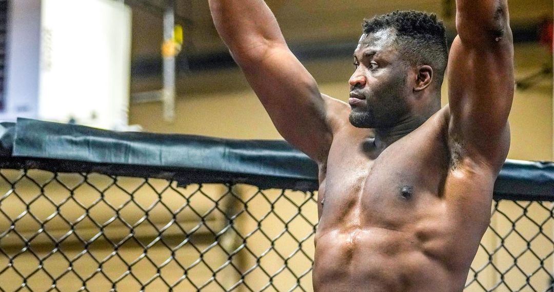 francis ngannou