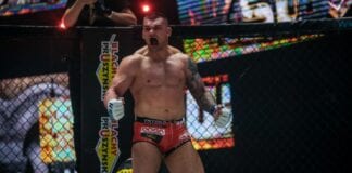 Darko Stosić chce nowego kontraktu i walki o pas darko stosic ksw
