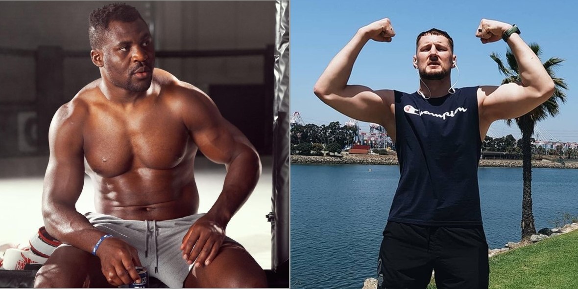 volkov ngannou