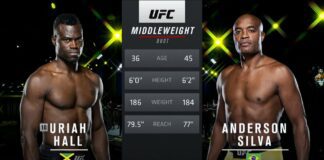 Pożegnanie Silvy z UFC. Ostatnia walka „Pająka” w oktagonie (WIDEO)