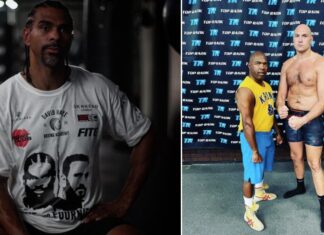 David Haye chce walki z Tysonem Furym