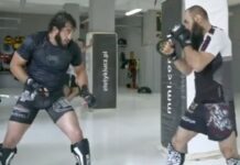 Khalidov vs Saidov. Fragment sparingu obecnego i byłego mistrza KSW (WIDEO) saidov i khalidov