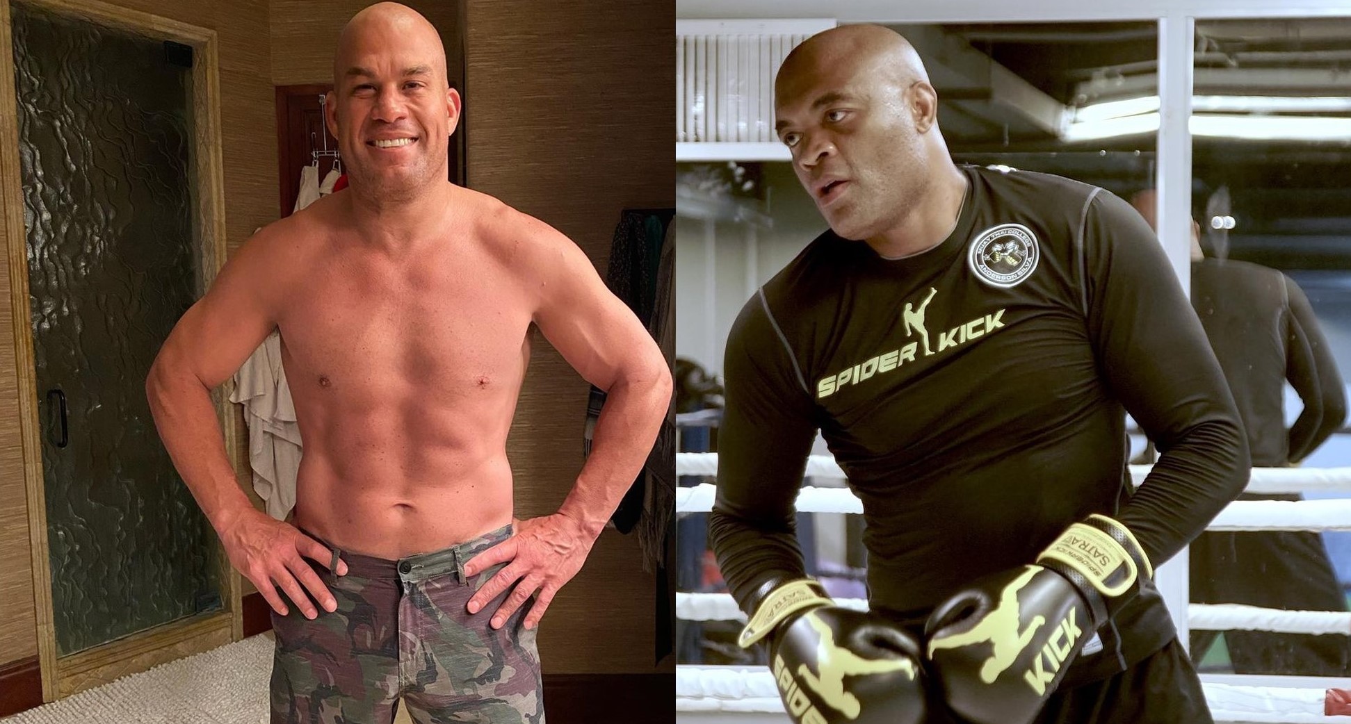 tito ortiz anderson silva