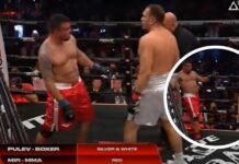 Były mistrz UFC brutalnie znokautowany na stojąco w trójkątnym ringu (WIDEO)