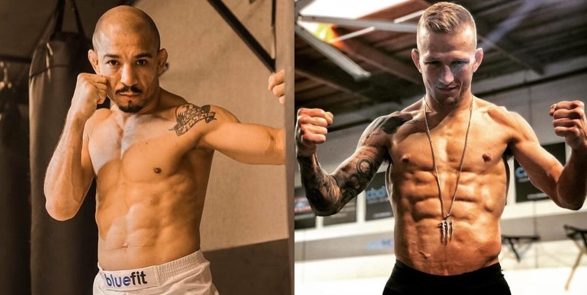 jose aldo dillashaw tj