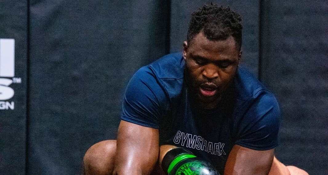 francis ngannou