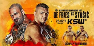 Pierwszy zwiastun gali KSW 67: De Fries vs Stosić