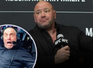 Majątek Joe Rogana i zarobki komentatora w UFC